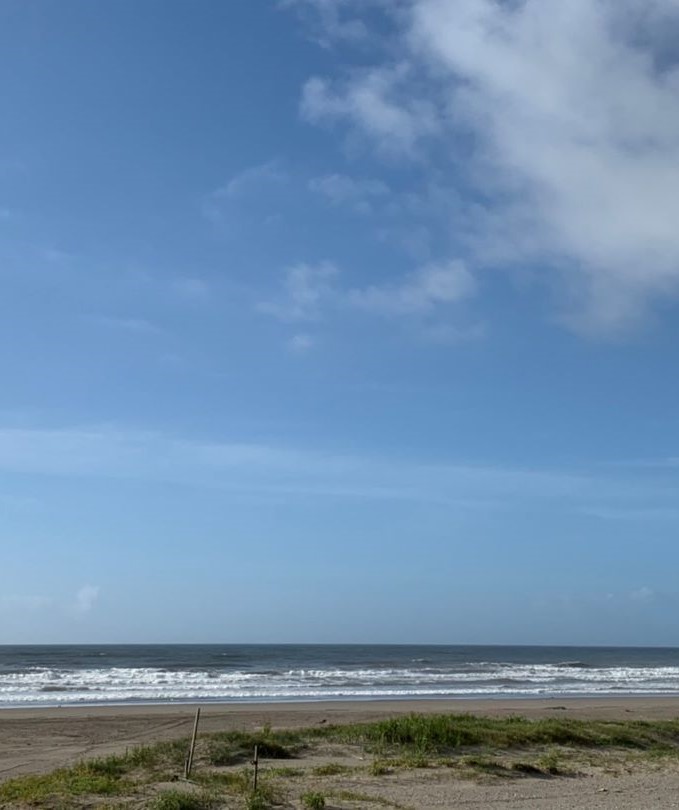 バックグラウンド画像